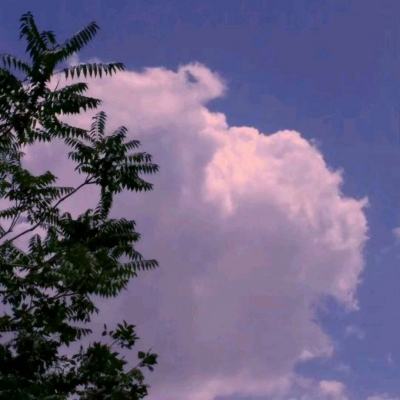 不可思议的瓶游戏