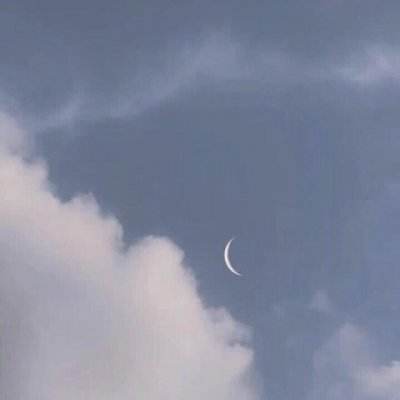 黄金之路bt版下载
